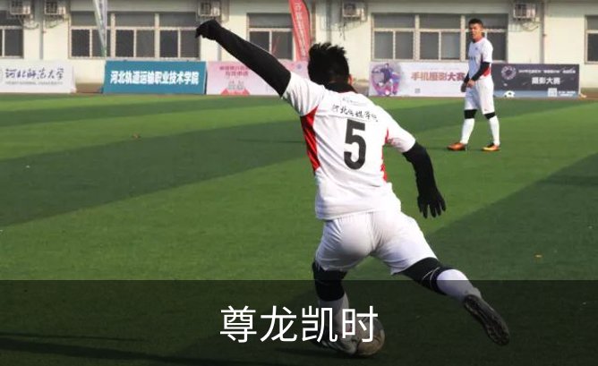 尊龙凯时概况